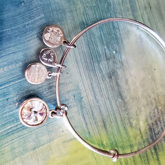 Alex and Ani Large Crystal Bangle Bracelet - Picture 2 of 4